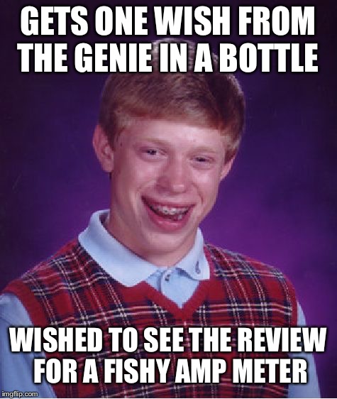 Bad Luck Brian Meme | GETS ONE WISH FROM THE GENIE IN A BOTTLE WISHED TO SEE THE REVIEW FOR A FISHY AMP METER | image tagged in memes,bad luck brian | made w/ Imgflip meme maker