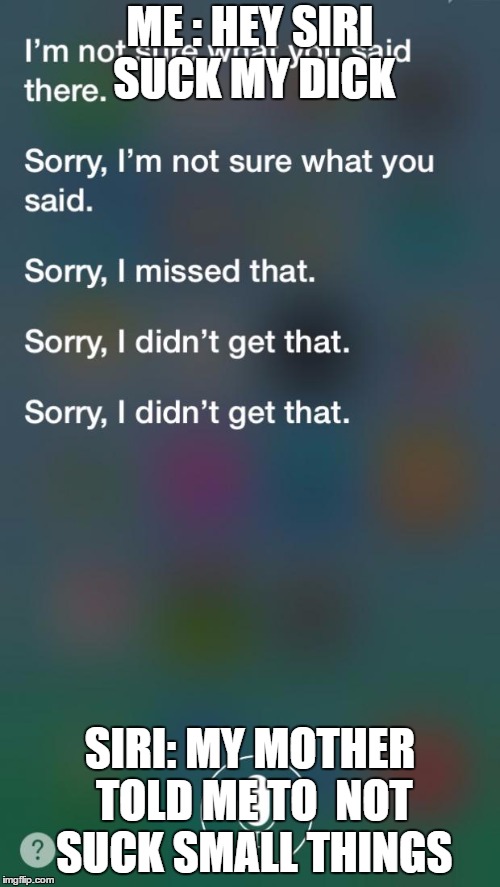 Siri... | ME : HEY SIRI SUCK MY DICK; SIRI: MY MOTHER TOLD ME TO  NOT SUCK SMALL THINGS | image tagged in siri | made w/ Imgflip meme maker