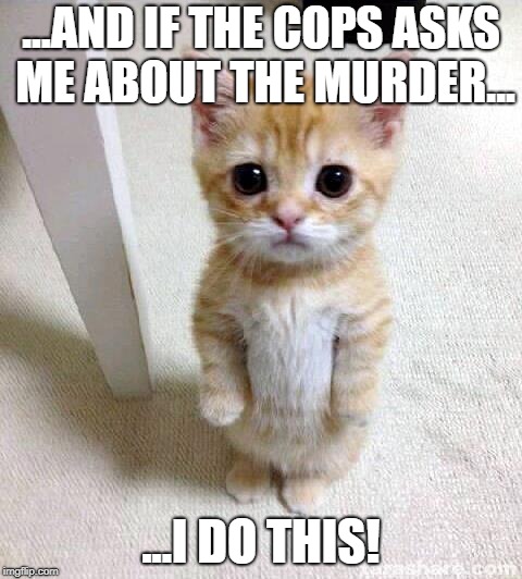 murder stories | ...AND IF THE COPS ASKS ME ABOUT THE MURDER... ...I DO THIS! | image tagged in memes,cute cat,murder | made w/ Imgflip meme maker