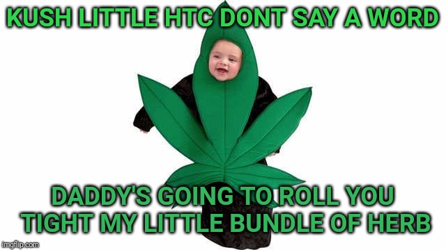 Having a 4/20 baby | KUSH LITTLE HTC DONT SAY A WORD; DADDY'S GOING TO ROLL YOU TIGHT MY LITTLE BUNDLE OF HERB | image tagged in 420,420 week,happy 420,memes,funny | made w/ Imgflip meme maker