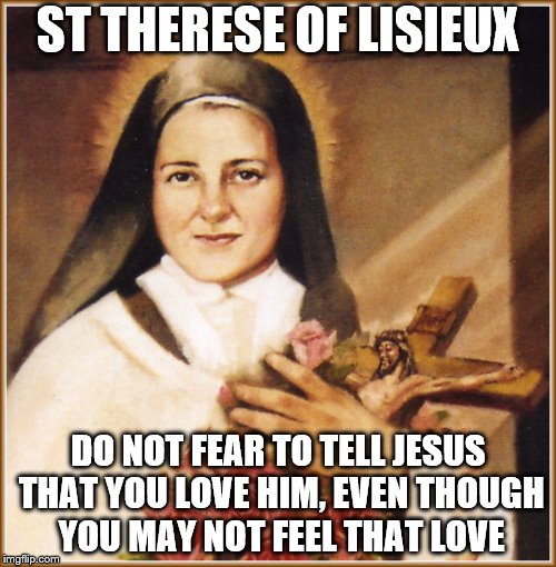 I will never forsake you | ST THERESE OF LISIEUX; DO NOT FEAR TO TELL JESUS THAT YOU LOVE HIM, EVEN THOUGH YOU MAY NOT FEEL THAT LOVE | image tagged in catholic,god,jesus christ,holyspirit,bible | made w/ Imgflip meme maker