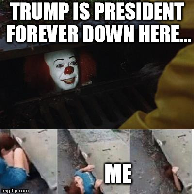 pennywise in sewer | TRUMP IS PRESIDENT FOREVER DOWN HERE... ME | image tagged in pennywise in sewer | made w/ Imgflip meme maker