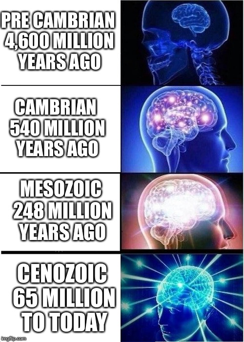 Expanding Brain Meme | PRE CAMBRIAN 4,600 MILLION YEARS AGO; CAMBRIAN 540 MILLION YEARS AGO; MESOZOIC 248 MILLION YEARS AGO; CENOZOIC 65 MILLION TO TODAY | image tagged in memes,expanding brain | made w/ Imgflip meme maker