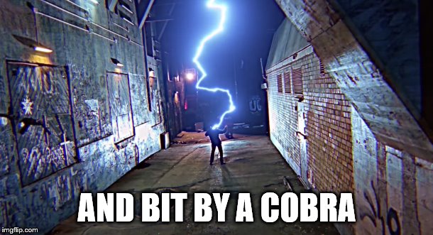 AND BIT BY A COBRA | made w/ Imgflip meme maker