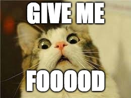 GIVE ME; FOOOOD | image tagged in funny,food | made w/ Imgflip meme maker