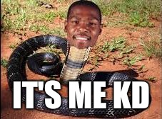 IT'S ME KD | image tagged in kevin is a snake,kevin durant,kd | made w/ Imgflip meme maker