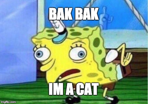 Mocking Spongebob Meme | BAK BAK; IM A CAT | image tagged in memes,mocking spongebob | made w/ Imgflip meme maker