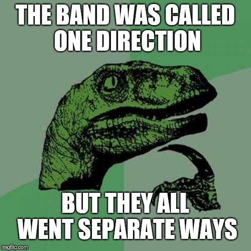 Philosoraptor Meme | THE BAND WAS CALLED ONE DIRECTION; BUT THEY ALL WENT SEPARATE WAYS | image tagged in memes,philosoraptor | made w/ Imgflip meme maker