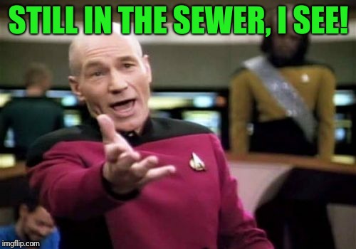 Picard Wtf Meme | STILL IN THE SEWER, I SEE! | image tagged in memes,picard wtf | made w/ Imgflip meme maker