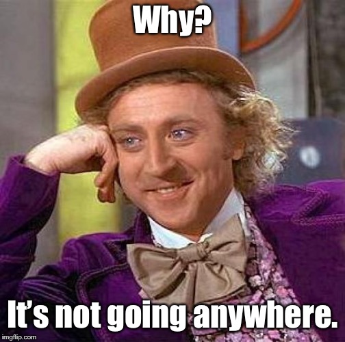 Creepy Condescending Wonka Meme | Why? It’s not going anywhere. | image tagged in memes,creepy condescending wonka | made w/ Imgflip meme maker