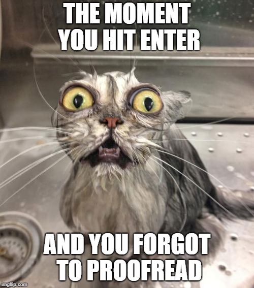 Funny Cat Adult | THE MOMENT YOU HIT ENTER; AND YOU FORGOT TO PROOFREAD | image tagged in funny cat adult | made w/ Imgflip meme maker