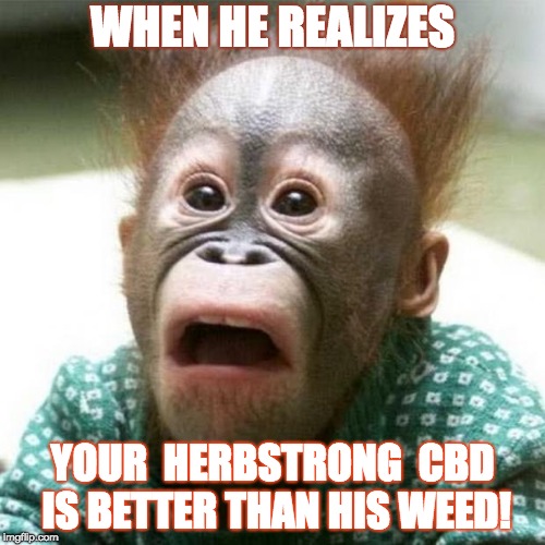 HAPPY 420 @HERBSTRONG | WHEN HE REALIZES; YOUR  HERBSTRONG  CBD IS BETTER THAN HIS WEED! | image tagged in cbd oil,herbstrong,happy420,fullspectrumcbd,cbd | made w/ Imgflip meme maker