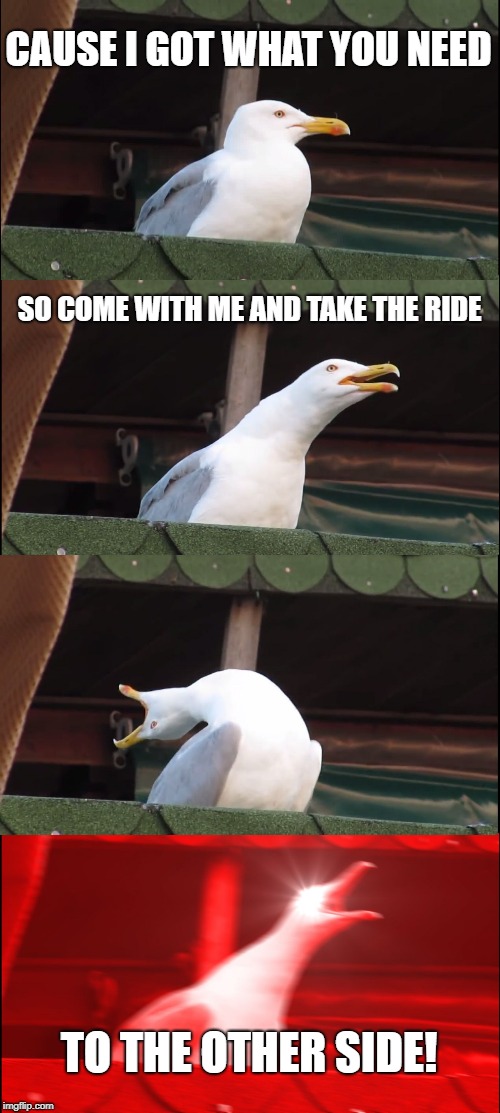 Inhaling Seagull Meme | CAUSE I GOT WHAT YOU NEED; SO COME WITH ME AND TAKE THE RIDE; TO THE OTHER SIDE! | image tagged in memes,inhaling seagull | made w/ Imgflip meme maker