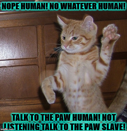 NOPE HUMAN! NO WHATEVER HUMAN! TALK TO THE PAW HUMAN! NOT LISTENING TALK TO THE PAW SLAVE! | image tagged in the facepaw | made w/ Imgflip meme maker