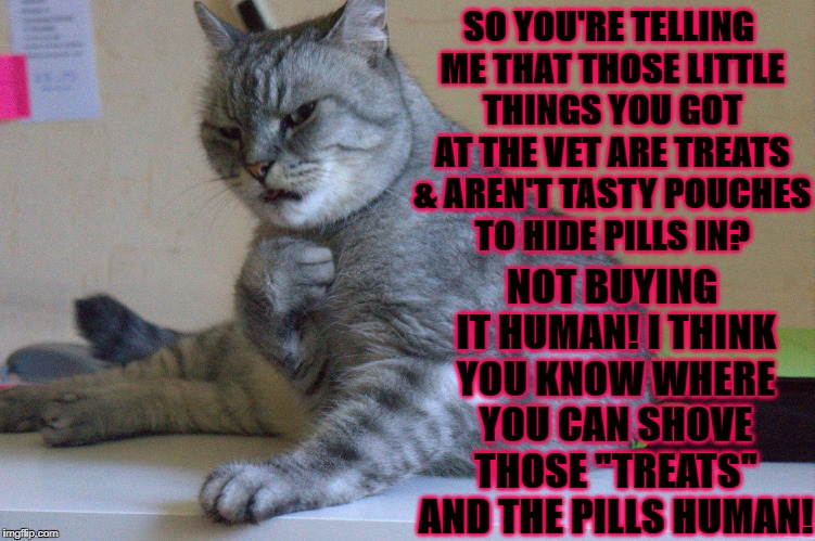 SO YOU'RE TELLING ME THAT THOSE LITTLE THINGS YOU GOT AT THE VET ARE TREATS & AREN'T TASTY POUCHES TO HIDE PILLS IN? NOT BUYING IT HUMAN! I THINK YOU KNOW WHERE YOU CAN SHOVE THOSE "TREATS" AND THE PILLS HUMAN! | image tagged in so you're tellin me | made w/ Imgflip meme maker