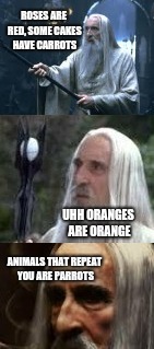 Random Fact Saruman | ROSES ARE RED, SOME CAKES HAVE CARROTS; UHH ORANGES ARE ORANGE; ANIMALS THAT REPEAT YOU ARE PARROTS | image tagged in confused saruman | made w/ Imgflip meme maker