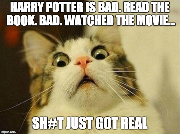 Scared Cat | HARRY POTTER IS BAD. READ THE BOOK. BAD. WATCHED THE MOVIE... SH#T JUST GOT REAL | image tagged in memes,scared cat | made w/ Imgflip meme maker