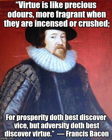 Virtue is best when crushed |  “Virtue is like precious odours, more fragrant when they are incensed or crushed;; For prosperity doth best discover vice, but adversity doth best discover virtue.”

― Francis Bacon | image tagged in virtue,chastity | made w/ Imgflip meme maker