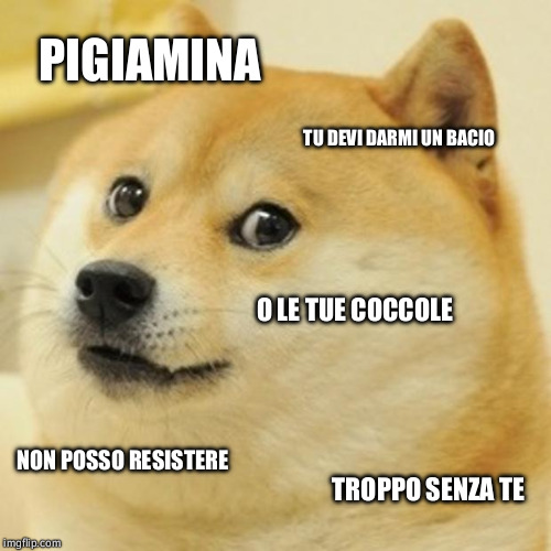 Doge Meme | PIGIAMINA; TU DEVI DARMI UN BACIO; O LE TUE COCCOLE; NON POSSO RESISTERE; TROPPO SENZA TE | image tagged in memes,doge | made w/ Imgflip meme maker