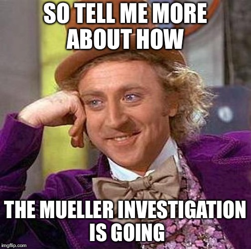 Creepy Condescending Wonka Meme | SO TELL ME MORE ABOUT HOW; THE MUELLER INVESTIGATION IS GOING | image tagged in memes,creepy condescending wonka | made w/ Imgflip meme maker