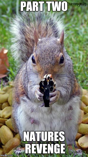 funny squirrels with guns (5) | PART TWO; NATURES REVENGE | image tagged in funny squirrels with guns 5 | made w/ Imgflip meme maker