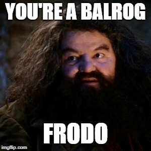 You're a wizard harry | YOU'RE A BALROG; FRODO | image tagged in you're a wizard harry | made w/ Imgflip meme maker
