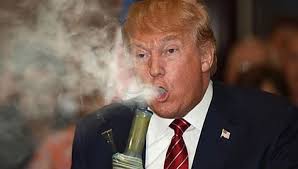 Trump Smoking weed Blank Meme Template