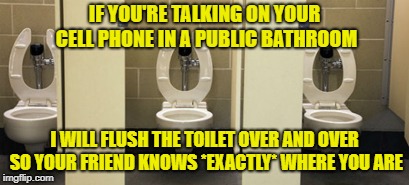 BAWOOSH, BAWOOSH | IF YOU'RE TALKING ON YOUR CELL PHONE IN A PUBLIC BATHROOM; I WILL FLUSH THE TOILET OVER AND OVER SO YOUR FRIEND KNOWS *EXACTLY* WHERE YOU ARE | image tagged in bathroom,memes,funny | made w/ Imgflip meme maker