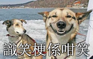 Original Stoner Dog Meme | 識笑梗係咁笑 | image tagged in memes,original stoner dog | made w/ Imgflip meme maker