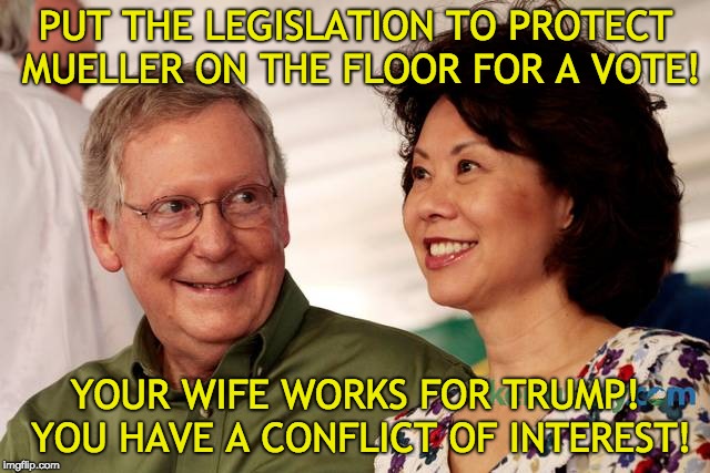 Protect Mueller - McConnell Conflict of Interest | PUT THE LEGISLATION TO PROTECT MUELLER ON THE FLOOR FOR A VOTE! YOUR WIFE WORKS FOR TRUMP! YOU HAVE A CONFLICT OF INTEREST! | image tagged in mitch mcconnell and his wife,conflict of interest,elaine chao,robert mueller,mueller protection,law | made w/ Imgflip meme maker