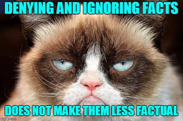 Grumpy Cat Not Amused |  DENYING AND IGNORING FACTS; DOES NOT MAKE THEM LESS FACTUAL | image tagged in facts,alternative facts,fact check,deny fact,donald trump | made w/ Imgflip meme maker