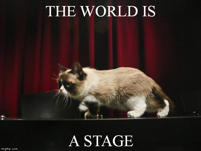 THE WORLD IS A STAGE | made w/ Imgflip meme maker