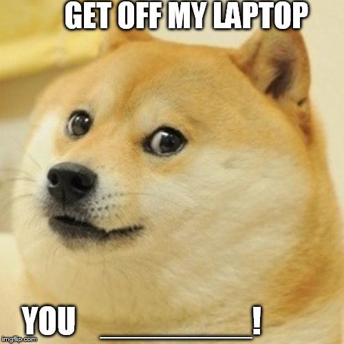 get off CAT! | GET OFF MY LAPTOP; YOU    ________! | image tagged in memes,doge,my laptop,wuss | made w/ Imgflip meme maker