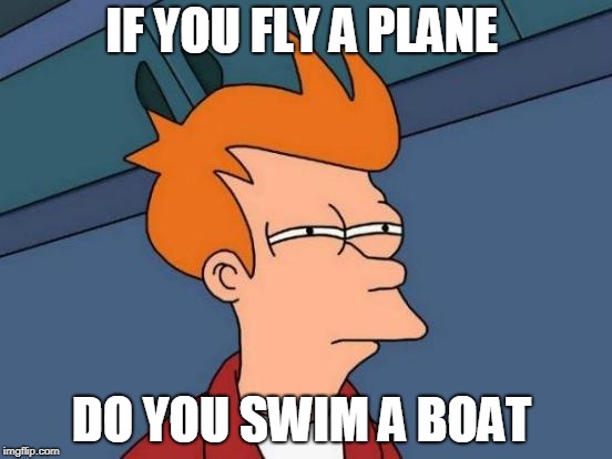 Futurama Fry | IF YOU FLY A PLANE; DO YOU SWIM A BOAT | image tagged in memes,futurama fry | made w/ Imgflip meme maker