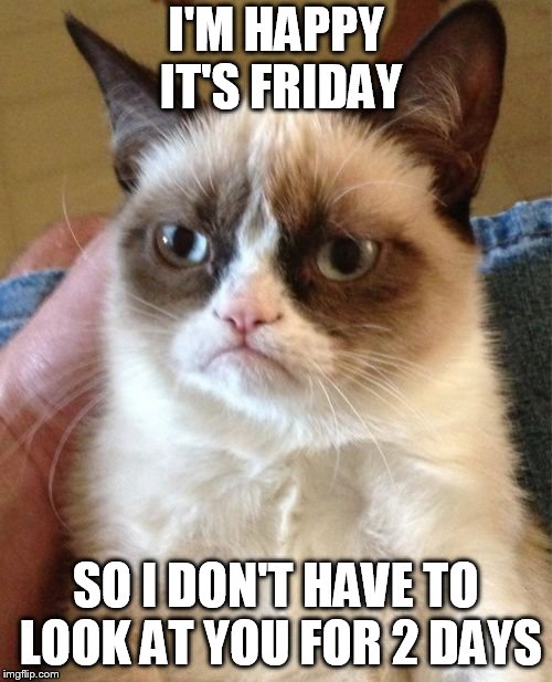 Grumpy Cat Meme | I'M HAPPY IT'S FRIDAY; SO I DON'T HAVE TO LOOK AT YOU FOR 2 DAYS | image tagged in memes,grumpy cat | made w/ Imgflip meme maker