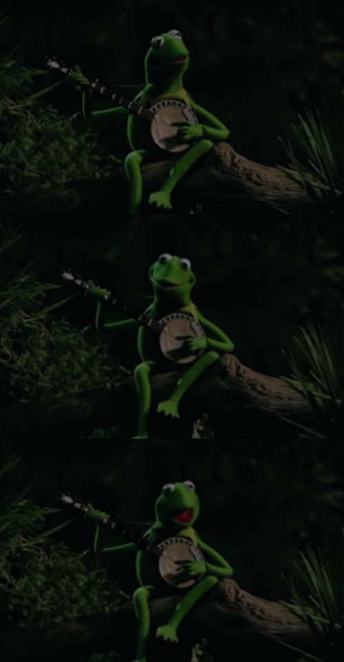 High Quality Bad Pun Kermit Banjo Blank Meme Template