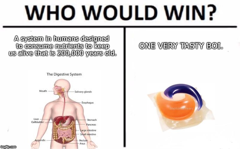 Who Would Win? | A system in humans designed to consume nutrients to keep us alive that is 200,000 years old. ONE VERY TASTY BOI. | image tagged in memes,who would win | made w/ Imgflip meme maker