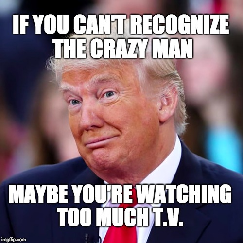 If you can't recognize the crazy man, maybe you're watching too much T.V.  | IF YOU CAN'T RECOGNIZE THE CRAZY MAN; MAYBE YOU'RE WATCHING TOO MUCH T.V. | image tagged in trump,donald trump,gop,maga | made w/ Imgflip meme maker