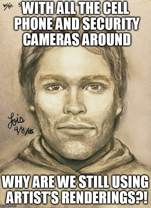 WITH ALL THE CELL PHONE AND SECURITY CAMERAS AROUND; WHY ARE WE STILL USING ARTIST'S RENDERINGS?! | image tagged in artist rendering | made w/ Imgflip meme maker