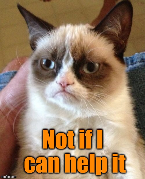 Grumpy Cat Meme | Not if I can help it | image tagged in memes,grumpy cat | made w/ Imgflip meme maker