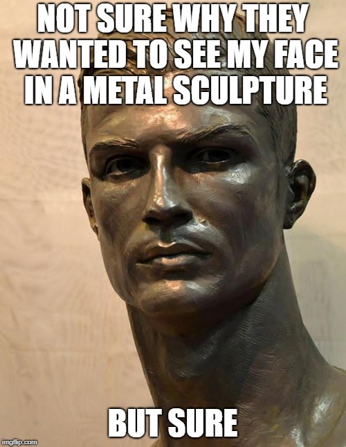 NOT SURE WHY THEY WANTED TO SEE MY FACE IN A METAL SCULPTURE BUT SURE | made w/ Imgflip meme maker