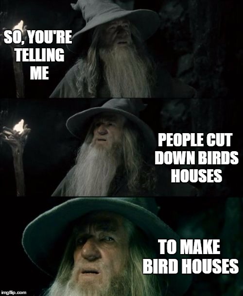 Confused Gandalf Meme | SO, YOU'RE TELLING ME; PEOPLE CUT DOWN BIRDS HOUSES; TO MAKE BIRD HOUSES | image tagged in memes,confused gandalf | made w/ Imgflip meme maker