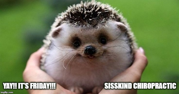 YAY!! IT'S FRIDAY!!!    

































SISSKIND CHIROPRACTIC | image tagged in yay it's friday | made w/ Imgflip meme maker