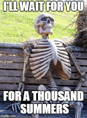 Waiting Skeleton Meme | I'LL WAIT FOR YOU; FOR A THOUSAND SUMMERS | image tagged in memes,waiting skeleton | made w/ Imgflip meme maker