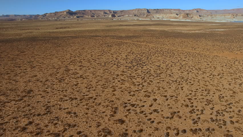 High Quality Field of Fucks Blank Meme Template