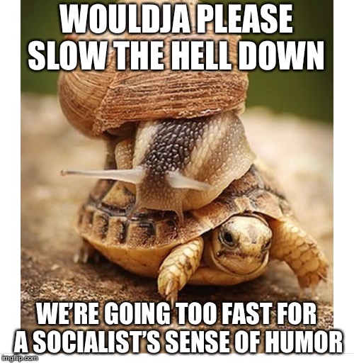 When some people have no sense of humor | WOULDJA PLEASE SLOW THE HELL DOWN; WE’RE GOING TOO FAST FOR A SOCIALIST’S SENSE OF HUMOR | image tagged in snail riding turtle,liberals,socialists,humor,memes | made w/ Imgflip meme maker