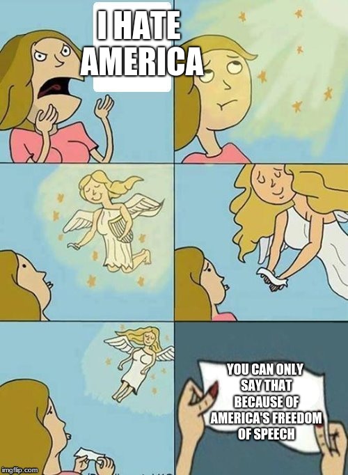 We dont care |  I HATE AMERICA; YOU CAN ONLY SAY THAT BECAUSE OF AMERICA'S FREEDOM OF SPEECH | image tagged in we dont care | made w/ Imgflip meme maker