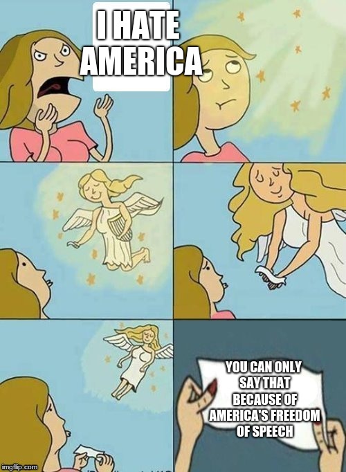 We dont care | I HATE AMERICA; YOU CAN ONLY SAY THAT BECAUSE OF AMERICA'S FREEDOM OF SPEECH | image tagged in we dont care | made w/ Imgflip meme maker