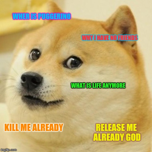 Doge Meme | WHER IS PUGGERINO; WHY I HAVE NO FRIENDS; WHAT IS LIFE ANYMORE; KILL ME ALREADY; RELEASE ME ALREADY GOD | image tagged in memes,doge | made w/ Imgflip meme maker