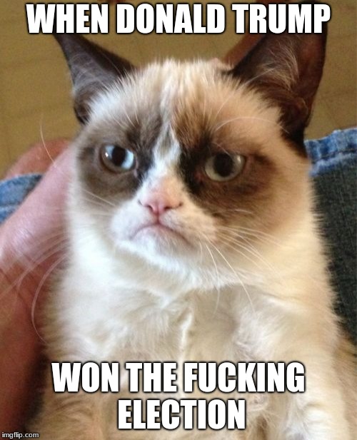 Grumpy Cat Meme | WHEN DONALD TRUMP; WON THE FUCKING ELECTION | image tagged in memes,grumpy cat | made w/ Imgflip meme maker